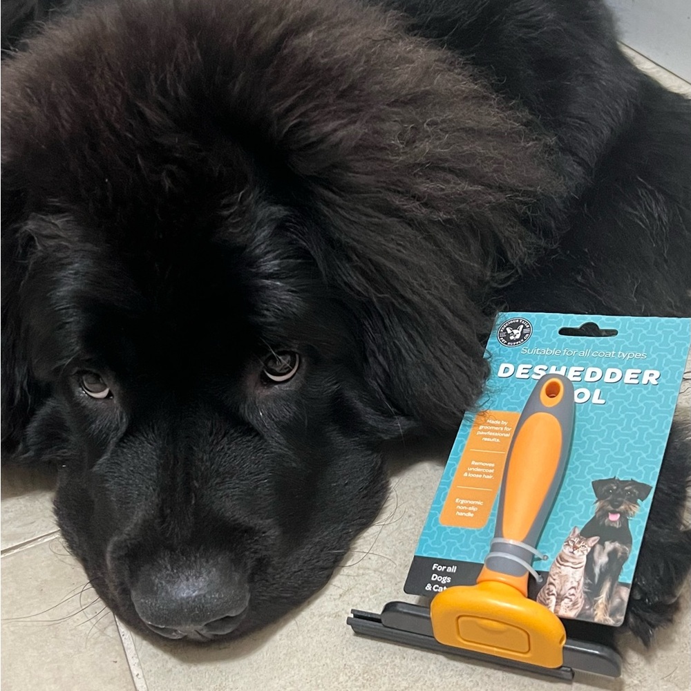 🆕 Dog Deshedder Grooming Tool by Precious Tails